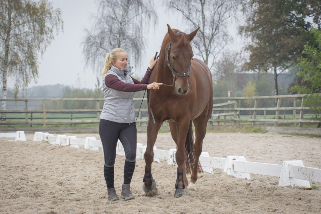 Werken aan de hand - Grondwerk